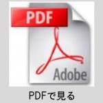 PDF_icon2
